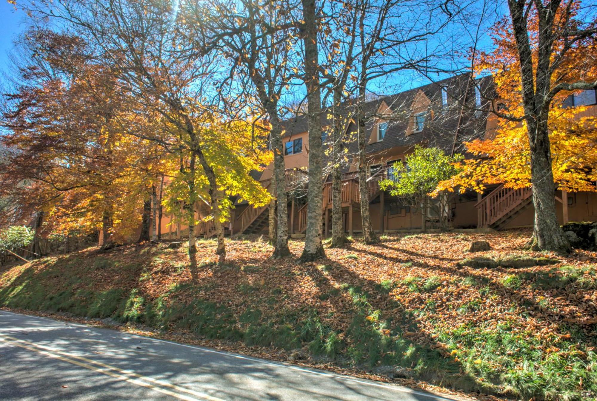 Cedar Village Condominiums 비치 마운틴 외부 사진